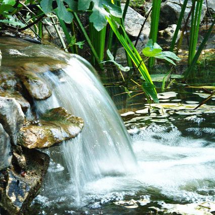 Craniosacrale Balance